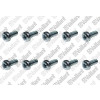 Vaillant Schraube M6x16 ISO 14583 10 Stück für VWF 157+197/4 # 0020150157
