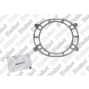 Vaillant Dichtung 0020173394