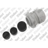 Vaillant Stopfbuchse, M25-17 0020175809