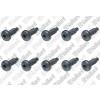 Vaillant Schraube VWL 85/2 115/2, 10 Stück 0020175810