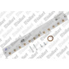 Vaillant Düsenstock für MAG 11-0/1 GX # 0020206076