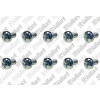 Vaillant Schraube 10 Stück für MAG 11-0/1 GX # 0020206122
