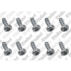 Vaillant Schraube 10 Stück für VC 146/7-2 # 0020213163