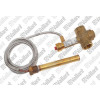 Vaillant Ventil, thermische Ablaufsicherung für VKP 452/2 # 0020217870