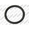 Vaillant O-Ring 3/4 für VPS R 100/1 M 0020246443