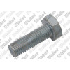 Vaillant Schraube H M10-30 Zn f. Halter 100L für VPS R 100/1 M # 0020246444