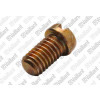 Vaillant Membranschraube für Gas-Durchlaufwasserheizer MAG 125/12 XZ MAG 9/2 XZ 010003
