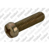 Vaillant Zylinderschraube für Gas-Durchlaufwasserheizer MAG 275/9 X MAG 275-400/9 XV 105812
