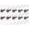 Vaillant Schraube Torx M4x10 VC 806/5-5 R2, 10 Stück 105901