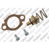 Vaillant Wassermangelventil für Gas-Durchlaufwasserheizer MAG 14-0/0 GX MAG 14-0/0 XI 115324