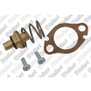 Vaillant Wassermangelventil für Gas-Durchlaufwasserheizer MAG 11-0/0 GX MAG 11-0/0 XI 115325