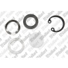 Vaillant Schauglas VAS #161245