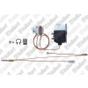 Vaillant Sicherheitsschalter Abgassensor für Gas-Durchlaufwasserheizer MAG 325/7.3 x (82° C) 251897