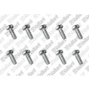 Vaillant Schraube VAS 106&156/4 VAS106/3, 10 Stück509685