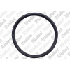 Vaillant Dichtung Silikon (DN 63) MAG-turbo 250/10 W 981110