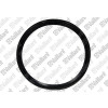 Vaillant Dichtung EPDM (DN 130) System Kaskade 130 PP (303950) 981256