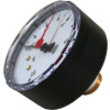 Wolf Manometer bis 10bar PAS-Standard bis 05/01 2070301