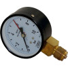 Wolf Manometer NG080 10 BAR für SLS-50 2745017