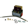 Wolf Gaskombiventil SIT 830.082 Tandem und 8750021