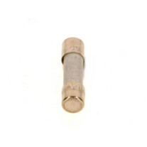 Buderus Sicherung 10A, 10 Stück 8738803397