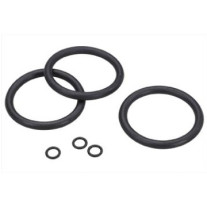 Grünbeck Dichtungssatz passend für Wasserfilter FS 1'' und FSD 11/4 ''- 2'', 2 Stück 100002