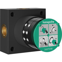 Hansgrohe Grundkörper für Kopfbrause 2 jet 24573180