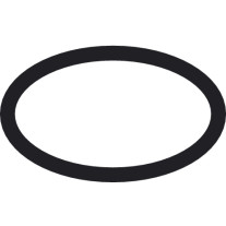 Hansgrohe O-Ring 20x2mm 98165000