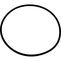 Wolf O-Ring 132 x 4 Viton für COB 8905738