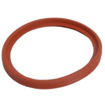 Viessmann Lippendichtung D=70 # 7815571
