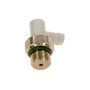 Bosch Entlüftungsventil 7098666