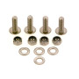 Bosch Schrauben-Set (4x) # 87185313700