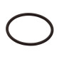 Hansgrohe O-Ring 50x2,5mm 95512000
