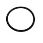 Hansgrohe O-Ring 26x2mm 98147000