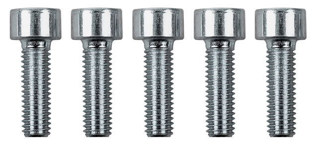 Wolf Schrauben M5x16 für HKP und WWT für CGG 8612390