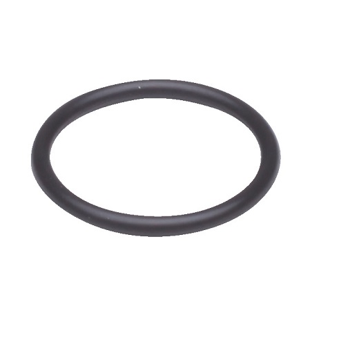 Danfoss O-Ring für RLV-KS 003L0248