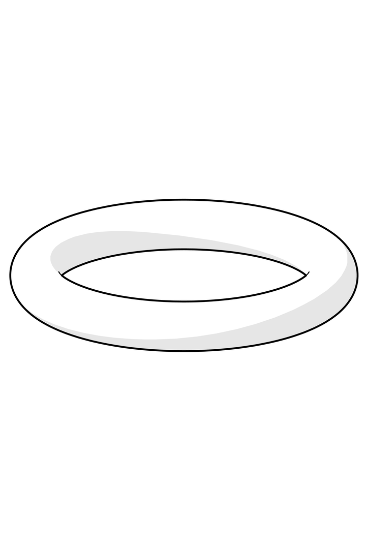 Hansa O-Ring HANSASMARTSHOWER d 10 x 2 59913573